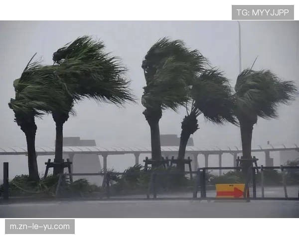 天气预警：马赛地区周末或有强风，比赛可能受影响